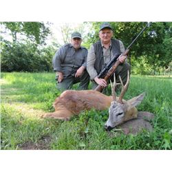 Roe deer hunt in Serbia for 1-2 hunters (5 days)
