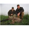 Image 4 : Roe deer hunt in Serbia for 1-2 hunters (5 days)