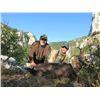 Image 2 : Chamois hunt in Serbia for 1-2 hunters (5 days)