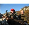 Image 5 : Chamois hunt in Serbia for 1-2 hunters (5 days)