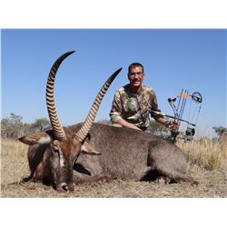 5 day trip to the Thabazimbi Bushveld of South Africa for 2-4 hunters to each pursue a  blue wildebe