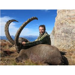 4-day hunt for Alpine Ibex in Switzerland or Austria