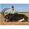 Image 2 : Sable bull hunt for one hunter in Limpopo Province, South Africa (5 days)