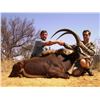 Image 3 : Sable bull hunt for one hunter in Limpopo Province, South Africa (5 days)