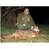 Image 2 : Wolf hunt in Skopje, Macedonia for 1-2 hunters (5 days)