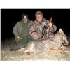 Image 3 : Wolf hunt in Skopje, Macedonia for 1-2 hunters (5 days)