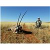 Image 5 : 7-day hunting trip for 3 hunters in South Africa