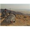 Image 3 : 7 - DAY MOUNTAIN ZEBRA HUNT FOR 1 HUNTER