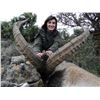Image 2 : 3 - DAY BECEITE IBEX HUNT FOR 1 OR 2 HUNTERS