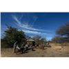 Image 8 : 3 - DAY DOVE HUNT IN ARGENTINA FOR 8 HUNTERS