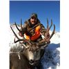 Image 10 : 2 - DAY GUIDES CHOICE MANAGEMENT HUNT FOR MULE DEER FOR 1 HUNTER & 1 NON-HUNTER