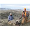 Image 17 : 2 - DAY GUIDES CHOICE MANAGEMENT HUNT FOR MULE DEER FOR 1 HUNTER & 1 NON-HUNTER