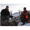 Image 2 : 2 - DAY GUIDES CHOICE MANAGEMENT HUNT FOR MULE DEER FOR 1 HUNTER & 1 NON-HUNTER