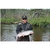 Image 11 : ALASKAN FISHING TRIP FOR 1 ANGLER