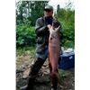 Image 2 : ALASKAN FISHING TRIP FOR 1 ANGLER