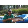 Image 5 : ALASKAN FISHING TRIP FOR 1 ANGLER