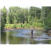 Image 8 : ALASKAN FISHING TRIP FOR 1 ANGLER