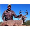 Image 2 : 5 - DAY COUES DEER HUNT IN SONORA, MEXICO FOR 1 HUNTER