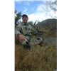Image 4 : 5 - DAY COUES DEER HUNT IN SONORA, MEXICO FOR 1 HUNTER