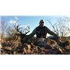 Image 6 : 5 - DAY COUES DEER HUNT IN SONORA, MEXICO FOR 1 HUNTER