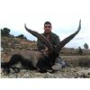 Image 2 : 4 - DAY BECEITE IBEX HUNT FOR 1 HUNTER