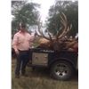 Image 8 : NEBRASKA GAME AND PARKS 2018 ELK PERMIT