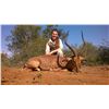 Image 2 : 5 - DAY SABLE, IMPALA & WARTHOG HUNT FOR 1 HUNTER