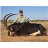 Image 3 : 5 - DAY SABLE, IMPALA & WARTHOG HUNT FOR 1 HUNTER