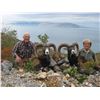 Image 2 : 3 - DAY EUROPEAN MOUFLON AND FERAL GOAT HUNT IN CROATIA FOR 1 HUNTER