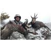 Image 3 : 4 - DAY ALPINE CHAMOIS HUNT IN SLOVENIA FOR 1 HUNTER AND 1 NON-HUNTER