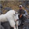 Image 2 : 10 - DAY GOAT HUNT IN B.C. FOR 1 HUNTER