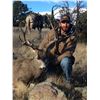 Image 2 : 5 - DAY MULE DEER HUNT IN NEW MEXICO FOR 1 HUNTER