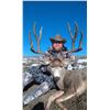 Image 4 : 5 - DAY MULE DEER HUNT IN NEW MEXICO FOR 1 HUNTER