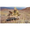 Image 10 : NAVAJO NATION DESERT BIGHORN PERMIT