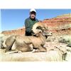 Image 2 : NAVAJO NATION DESERT BIGHORN PERMIT