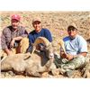 Image 3 : NAVAJO NATION DESERT BIGHORN PERMIT