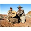 Image 6 : NAVAJO NATION DESERT BIGHORN PERMIT