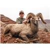 Image 8 : NAVAJO NATION DESERT BIGHORN PERMIT