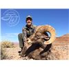 Image 9 : NAVAJO NATION DESERT BIGHORN PERMIT