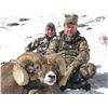 Image 2 : TAOS PUEBLO ROCKY MOUNTAIN BIGHORN SHEEP PERMIT- MOUNTAIN HUNTq