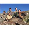 Image 2 : SONORA DESERT SHEEP PERMIT