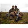 Image 3 : 10 - DAY DALL’S SHEEP/ARCTIC GRIZZLY/BARREN GROUND/CARIBOU/WOLF HUNT FOR 1 HUNTER IN ALASKA’S ARCTIC