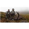 Image 4 : 10 - DAY DALL’S SHEEP/ARCTIC GRIZZLY/BARREN GROUND/CARIBOU/WOLF HUNT FOR 1 HUNTER IN ALASKA’S ARCTIC