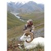 Image 5 : 10 - DAY DALL’S SHEEP/ARCTIC GRIZZLY/BARREN GROUND/CARIBOU/WOLF HUNT FOR 1 HUNTER IN ALASKA’S ARCTIC