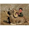 Image 8 : MONGOLIAN ALTAI ARGALI PERMIT