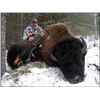 Image 2 : 8 - DAY BISON HUNT IN BRITISH COLUMBIA WITH SIKANNI RIVER OUTFITTERS