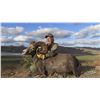 Image 26 : CARMEN ISLAND, MEXICO, DESERT BIGHORN SHEEP PERMIT
