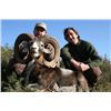 Image 2 : 4 - DAY FREE RANGE IBERIAN MOUFLON SHEEP HUNT FOR 1 HUNTER AND 1 NON-HUNTER