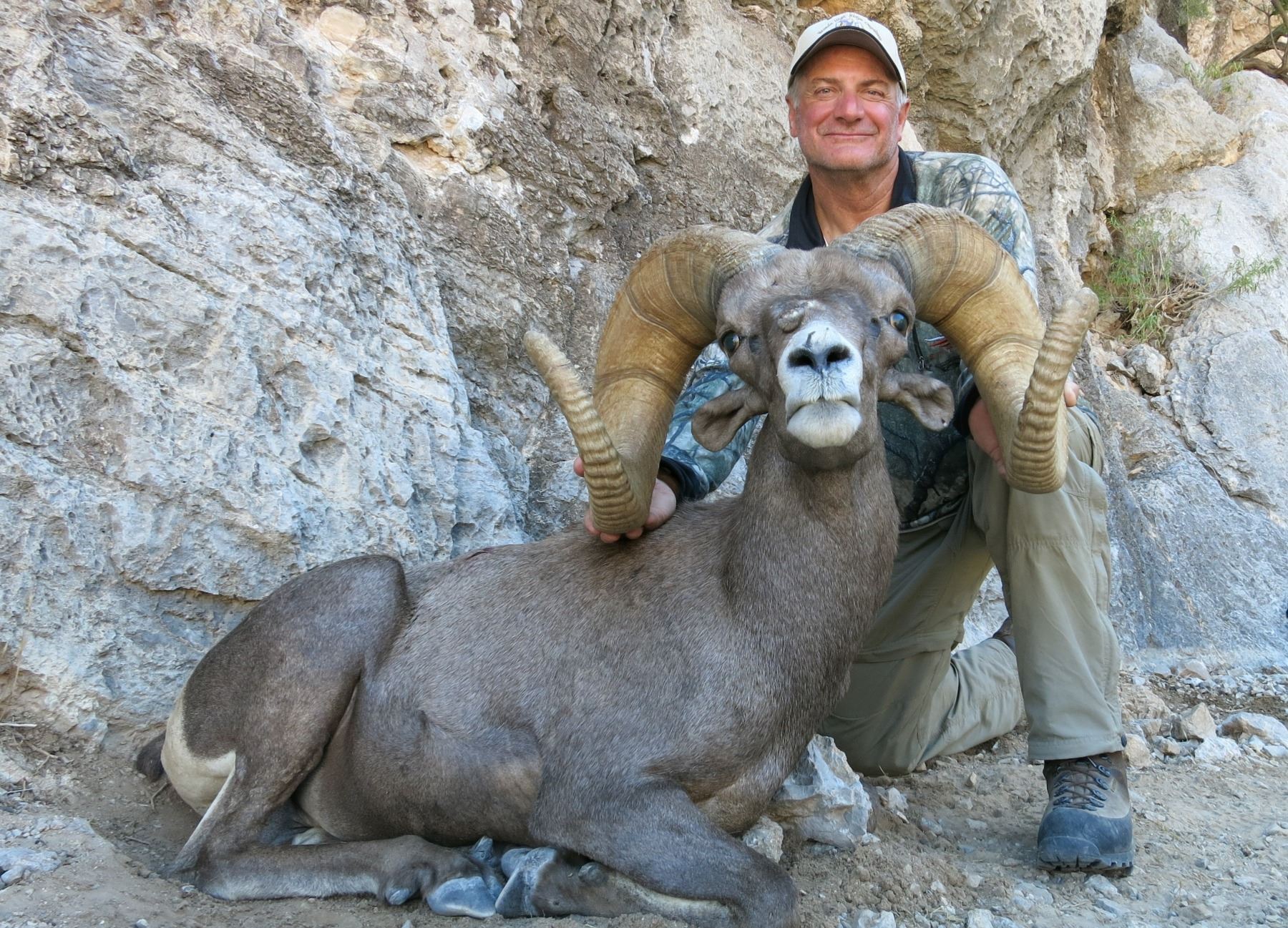 State Of Nevada Nelson Desert Bighorn Sheep Tag