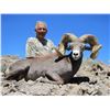 Image 2 : STATE OF NEVADA NELSON DESERT BIGHORN SHEEP TAG